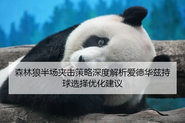 森林狼半场夹击策略深度解析爱德华兹持球选择优化建议