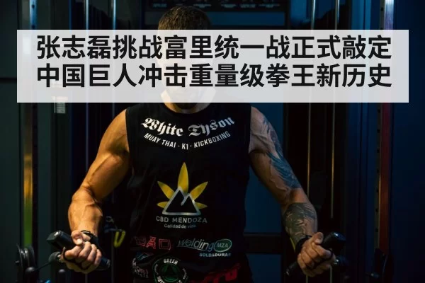 Tyson Fury boxing